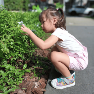 curious girl exploring in a Changing educational landscape